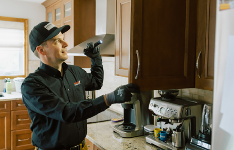 Pest control technician inspecting kitchen cabinets
